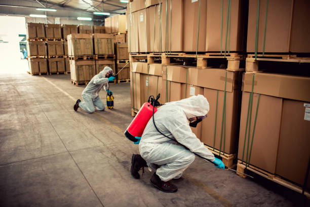 Best Affordable Pest Control Services  in Pike Creek Valley, DE