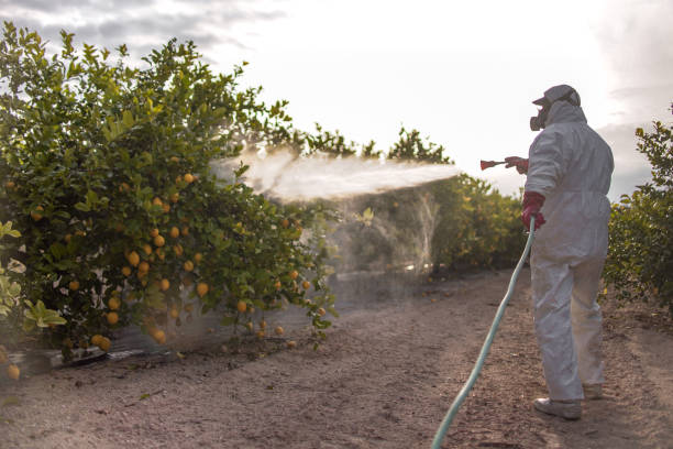 Best Best Pest Control Companies  in Pike Creek Valley, DE