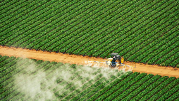 Professional Pest Control in Pike Creek Valley, DE