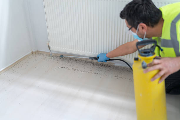 Best Cockroach Control Services  in Pike Creek Valley, DE